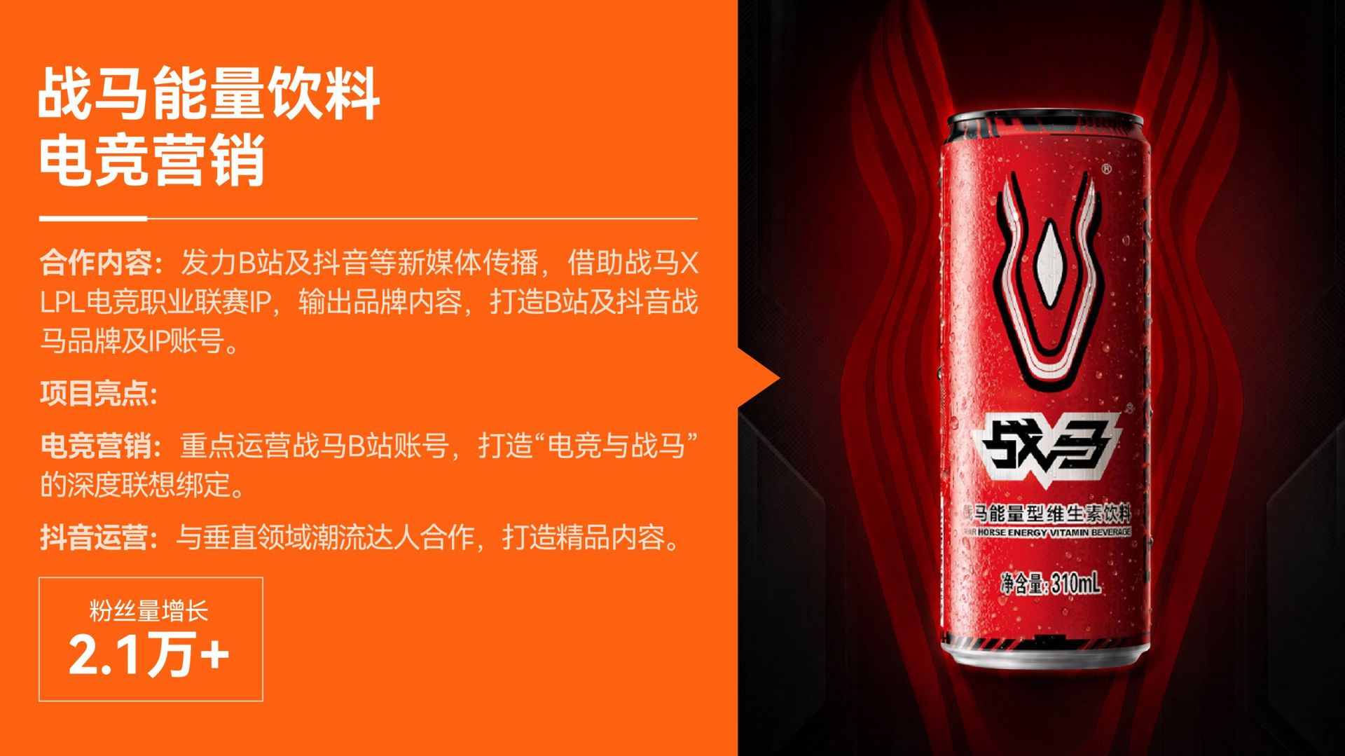 公司网站 合作案例