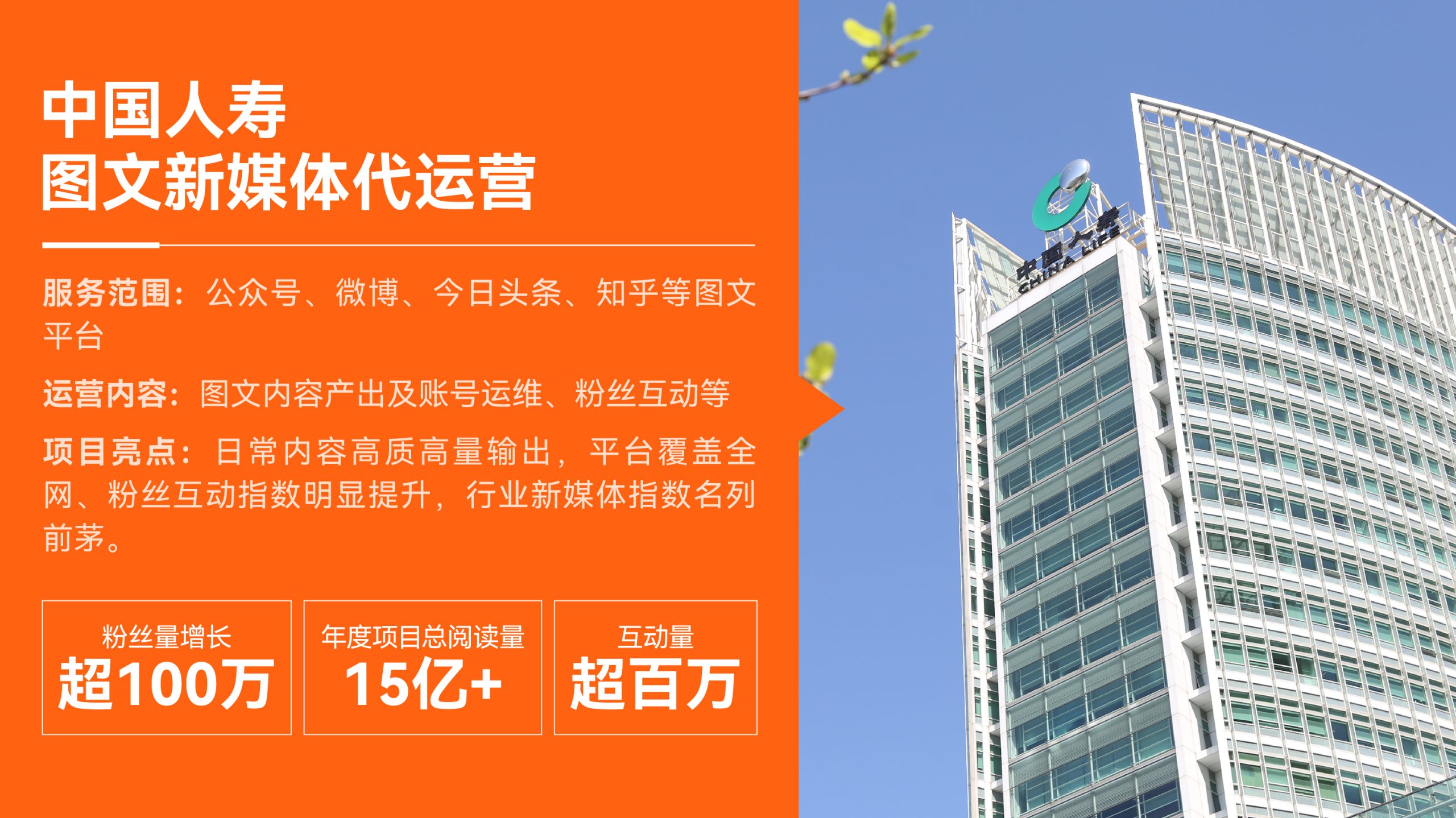 公司网站 合作案例 画板 1